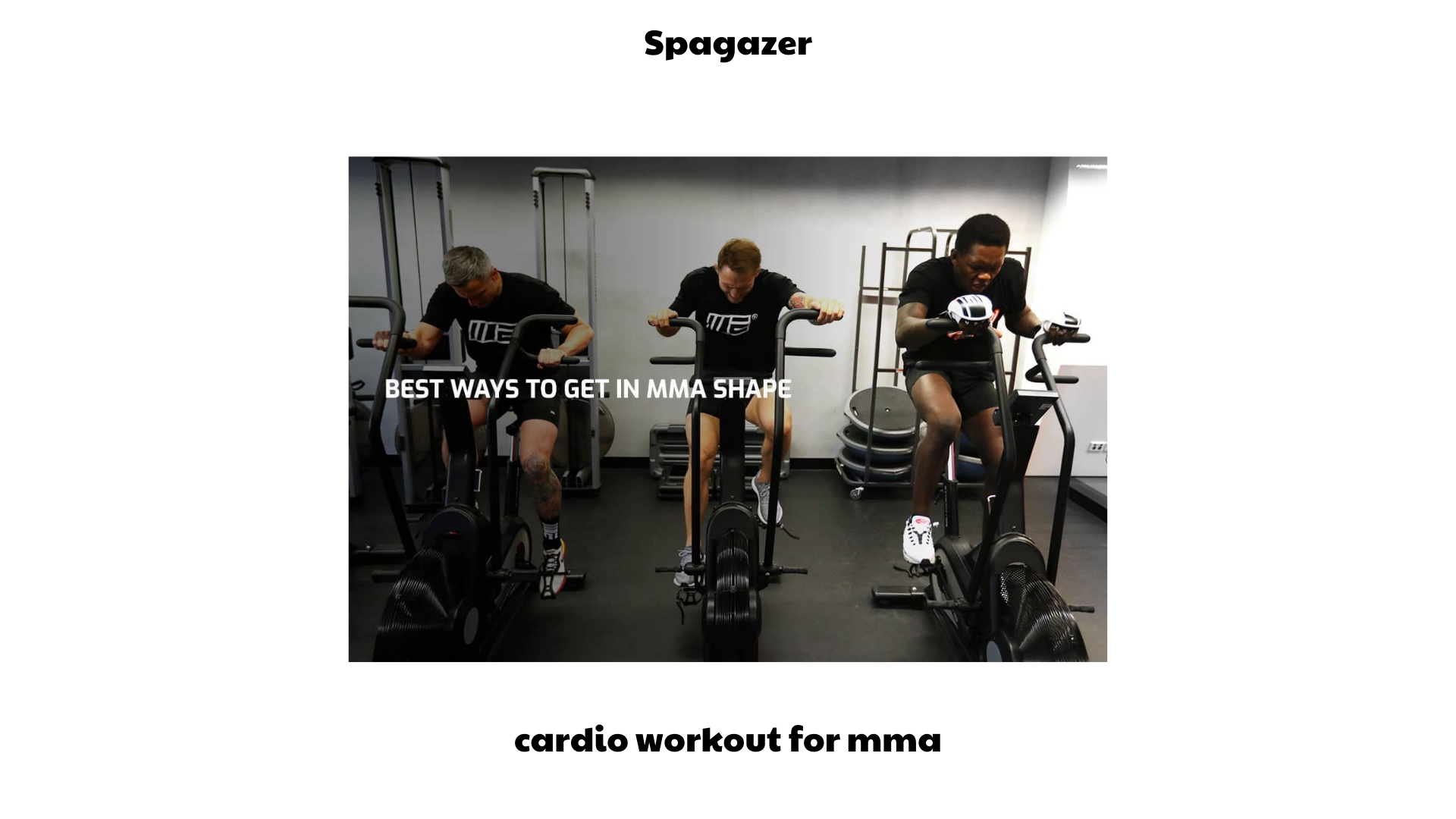 cardio workout for mma 
